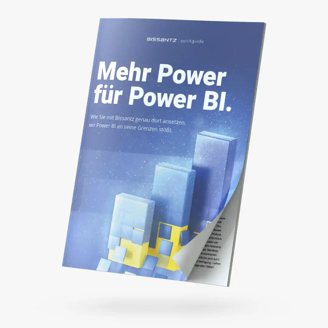 Quickguide: Power BI